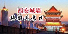 抠舔中国陕西-西安城墙旅游风景区